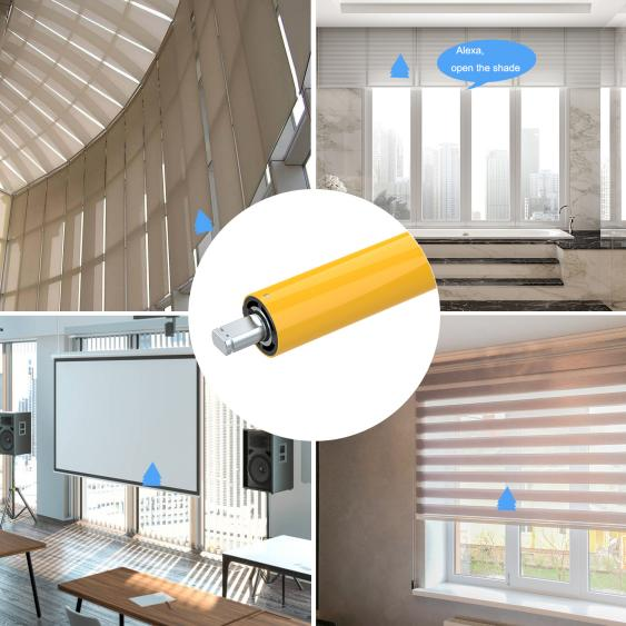 Introduktion af den revolutionære DC Tubular Motor: En ny æra inden for motorisk teknologi